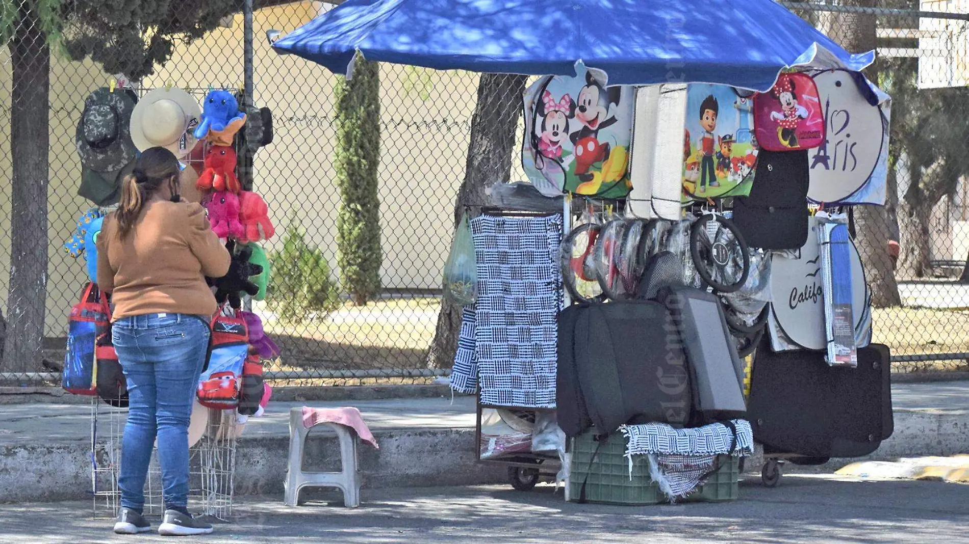 mujer comerciante